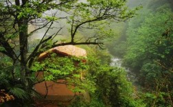 林州红谷山景区