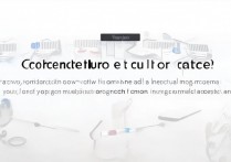 vivo 怎么连电脑？vivo 手机连接电脑上网设置教程