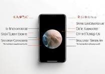 苹果手机长截图怎么截？分屏/滚动截图方法大全