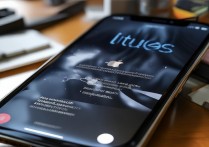 苹果手机开不了机显示iTunes，如何解决？