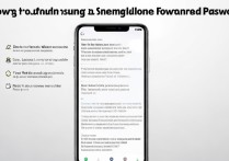 三星手机忘记密码怎么解锁？教你重置密码的详细步骤