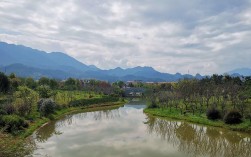 梨树洲风景区