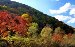 乌鲁木齐小东沟风景区