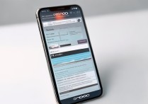 OPPO 821性能续航表现如何？日常使用体验真实评测？