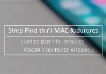 vivox3怎么看mac地址