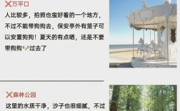 带狗旅游攻略，如何确保旅途愉快且安全？