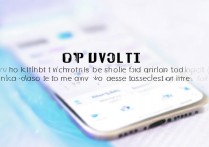 vivo手机如何彻底关闭偷跑流量，防止后台偷偷联网？