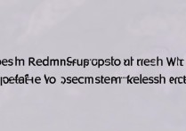 红米10支持高刷吗？屏幕刷新率具体是多少？