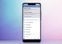 华为p20pro怎么设置软件下载