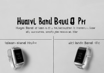 华为手环4和4pro区别大吗？买哪个更值得？