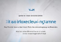 vivo专属铃声怎么设置？详细步骤教你怎么弄！