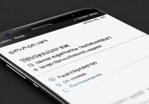 华为Mate7如何设置系统语言为中文？