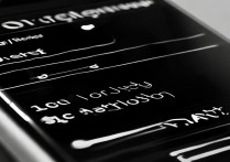 苹果7自动亮屏怎么设置？教你轻松开启自动调节亮度