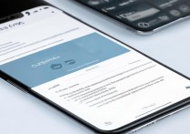 oppo主题怎么分享给好友？分享后对方收不到怎么办？