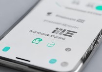vivo 权限管理在哪