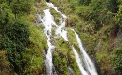 丰顺八乡山旅游景区