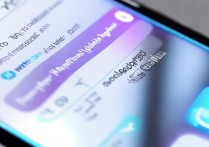 vivo X9如何彻底关闭或管理快充功能？