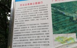 广州龙头山旅游攻略，如何规划一次完美的旅行体验？