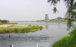 卤阳湖景区