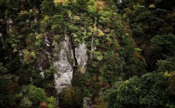 大风堡原始森林风景区