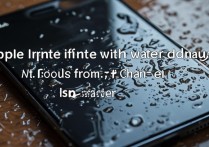 苹果进水后听筒没声音，自己能修复吗？