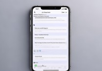 苹果6屏幕色度怎么调？在哪里设置？详细步骤是什么？