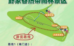 野象谷旅游攻略，如何规划一次完美的探险之旅？