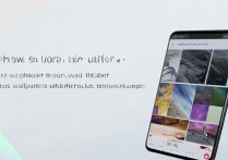 怎么挑oppo手机壁纸