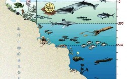 海洋动物世界在哪里