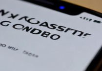 苹果来短信没声音？设置里哪里能开启提示音？