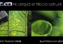 OPPO Reno6 Pro显微镜功能与微距拍照有何区别？