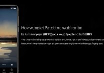 oppo手机怎么设置动态壁纸？详细步骤教程来了！