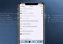 苹果手机如何设置指定WiFi自动连接，避免重复输入密码？