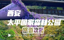 如何制定完美的太平森林公园旅游攻略？