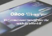 OPPO R8007 R1S怎么样？性能续航值得买吗？