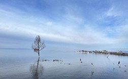 青海湖边景区