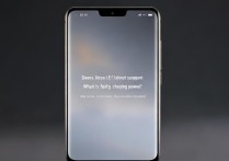 Xiaomi Civi 1S支持快充吗？快充功率多少？