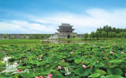 沔城风景区