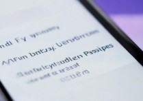 oppo手机修改安装权限设置在哪里找？