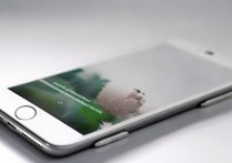 苹果7plus像素够日常用吗？拍照效果现在还清晰吗？