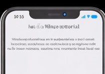 苹果手机备注怎么设置？新手必看详细步骤教程
