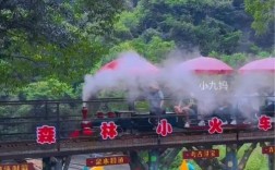 同安金光湖景区门票