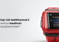红米Redmi Watch2能测体温吗？实测准确吗？