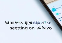 vivo的usb设置在哪里