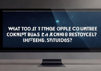 苹果被还原后开机黑屏怎么办？解决方法是什么？