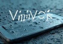 vivo屏幕进水了怎么办，vivo手机进水后屏幕故障快速处理方法