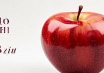 apple 广告