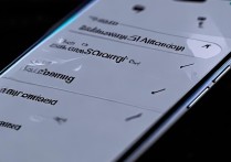 oppo手机通话设置怎么调？接听/声音/通话转接在哪设置？