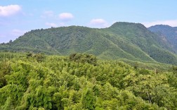 竹海风景区怎么样