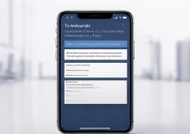 苹果手机怎么去视频广告软件？安全无广告的苹果去广告软件推荐？